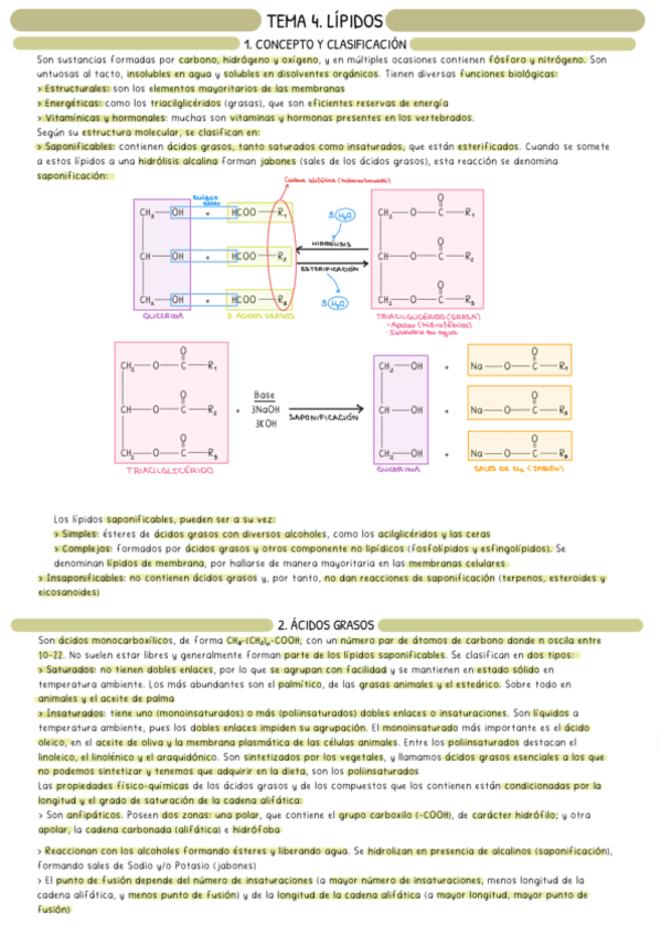 Lipidos-bueno.pdf