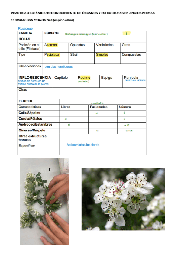 practicas-finalyo.pdf