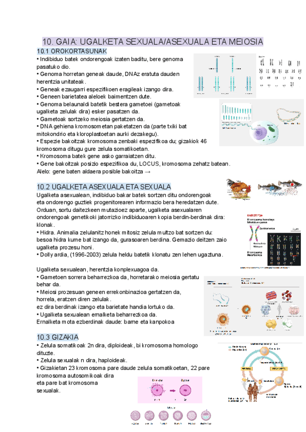 BIOLOGIA-APUNTEAK-10-11-GAIAK.pdf