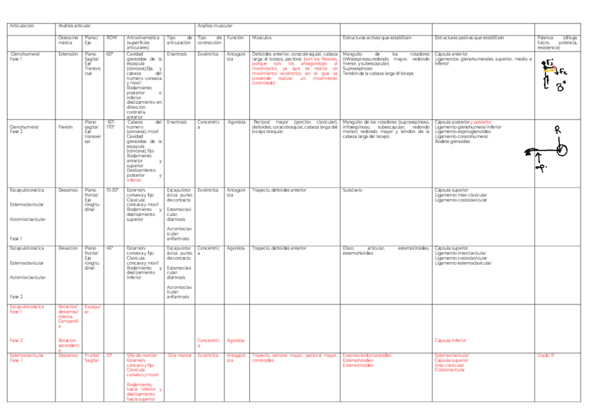 CORRECCION-ANALISIS-MOV-HOMBRO.pdf