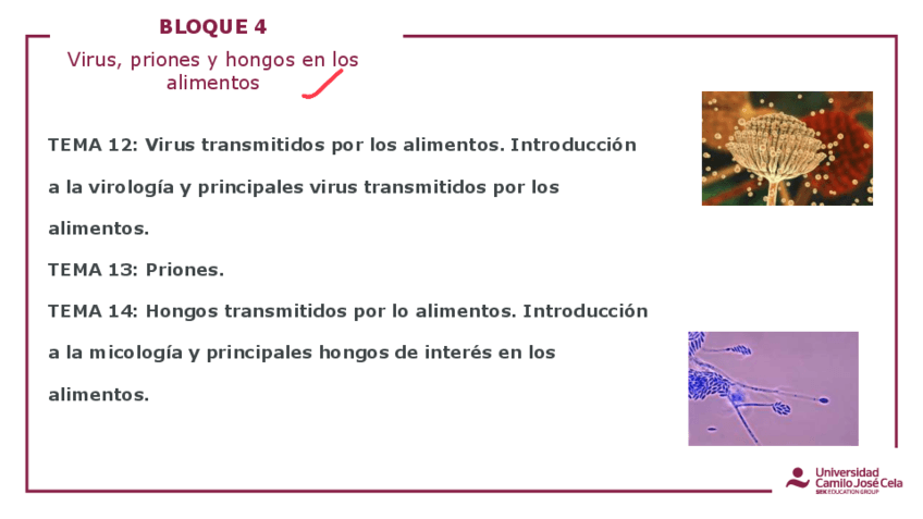 APUNTES-TEMA-14.pdf