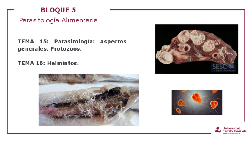 APUNTES-TEMA-15.pdf