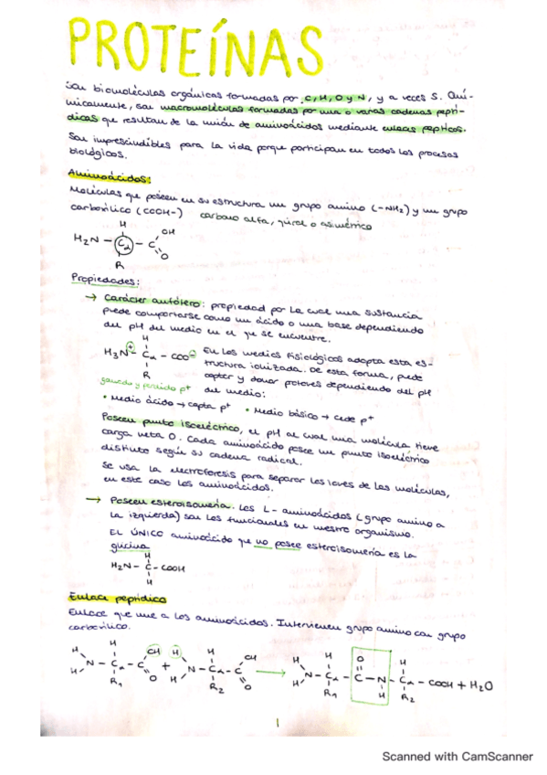 tema-4-proteinas.pdf
