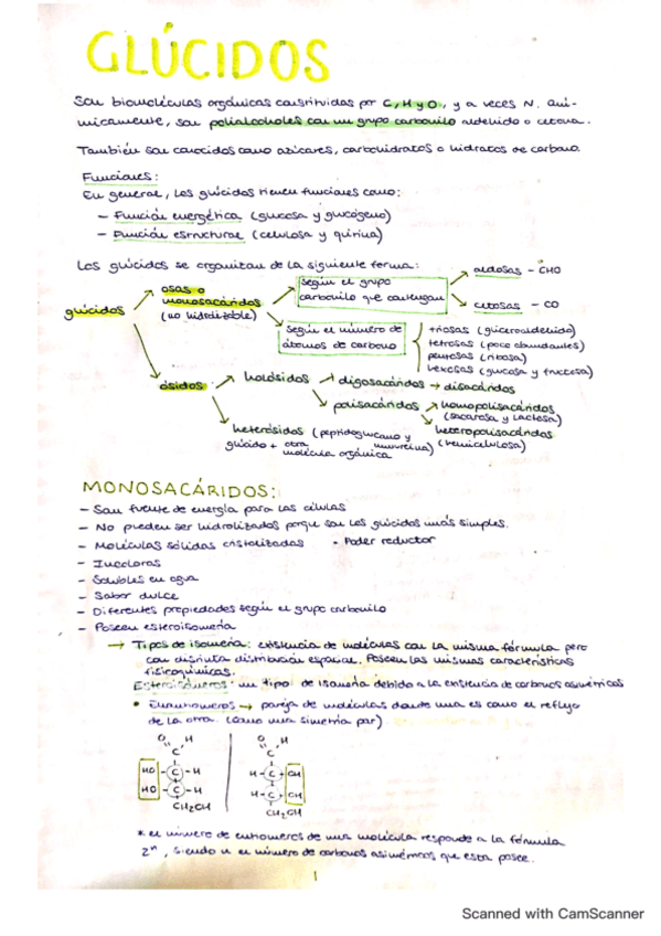 tema-2-glucidos.pdf