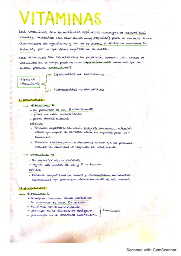 tema-6-vitaminas.pdf