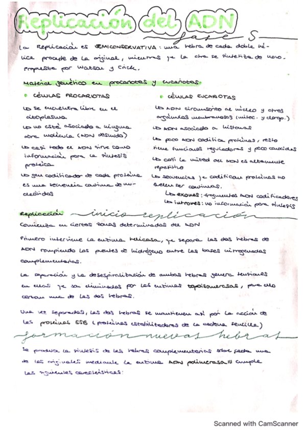 tema-17-replicacion-del-ADN.pdf