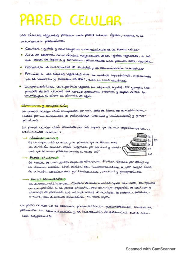 tema-10-pared-celular.pdf