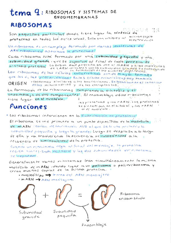 tema-9-bio.pdf