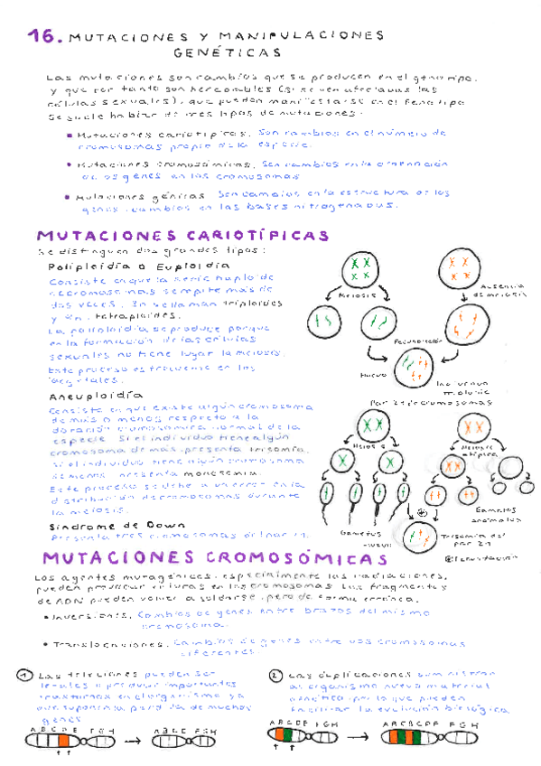tema-16-bio.pdf