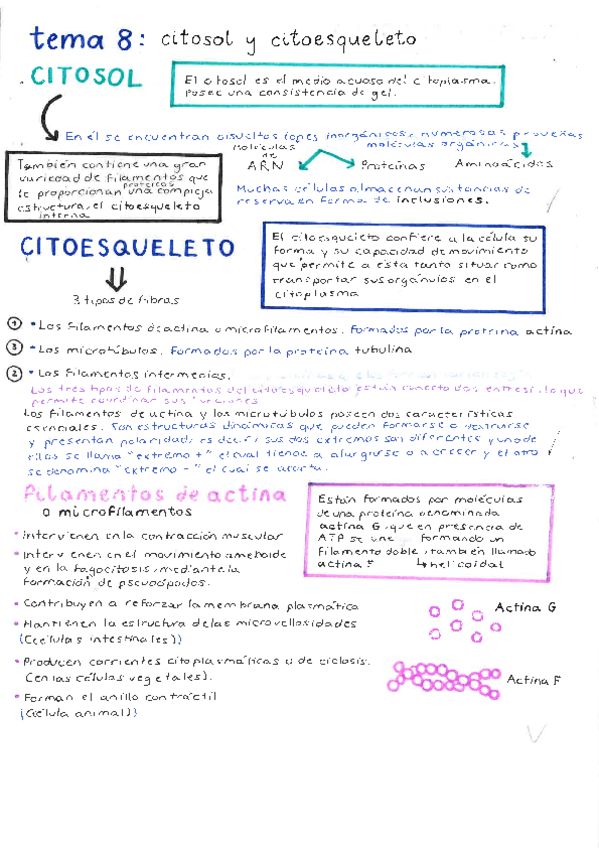 tema-8-bio.pdf