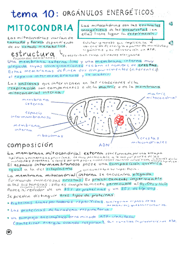 tema-10-bio.pdf