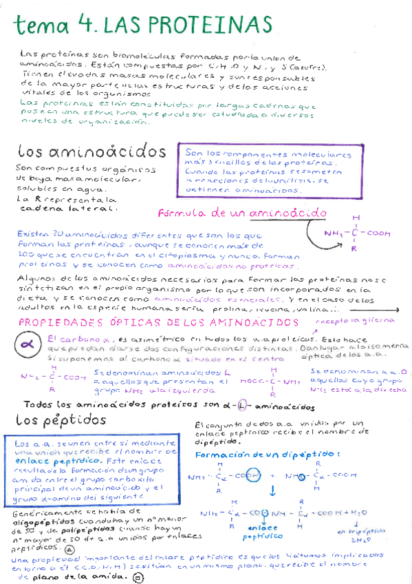 tema-4-bio.pdf