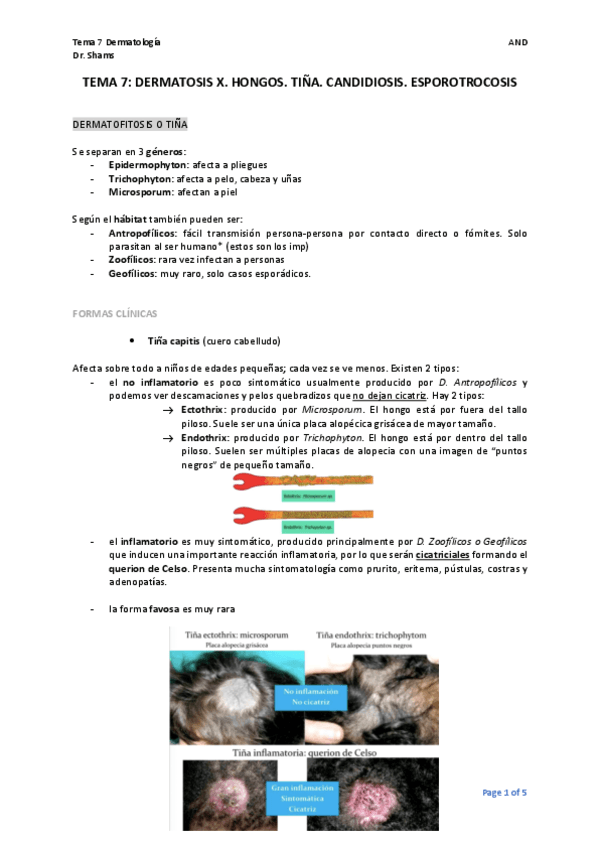 TEMA-7.-DERMATOFITOSIS.-HOMB.pdf