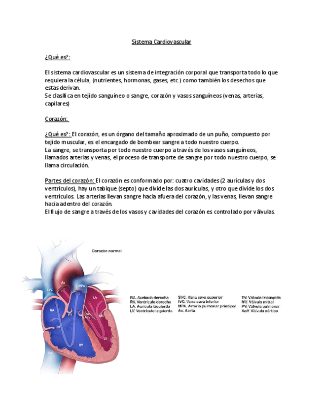 Sistema-Cardiovascular.pdf