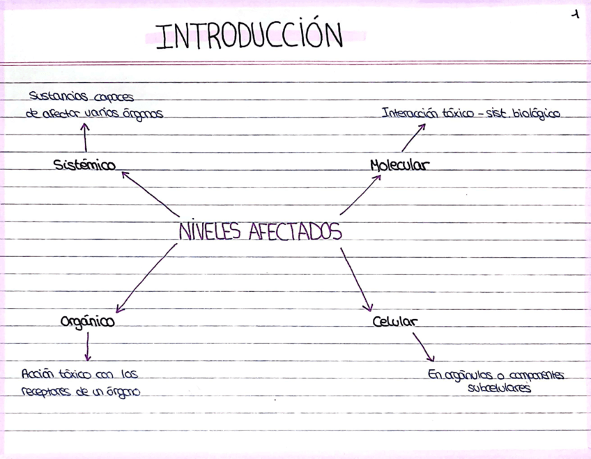Tema-4-Toxicologia.pdf