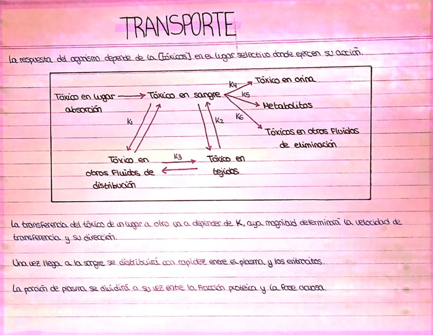 Tema-3-Toxicologia.pdf