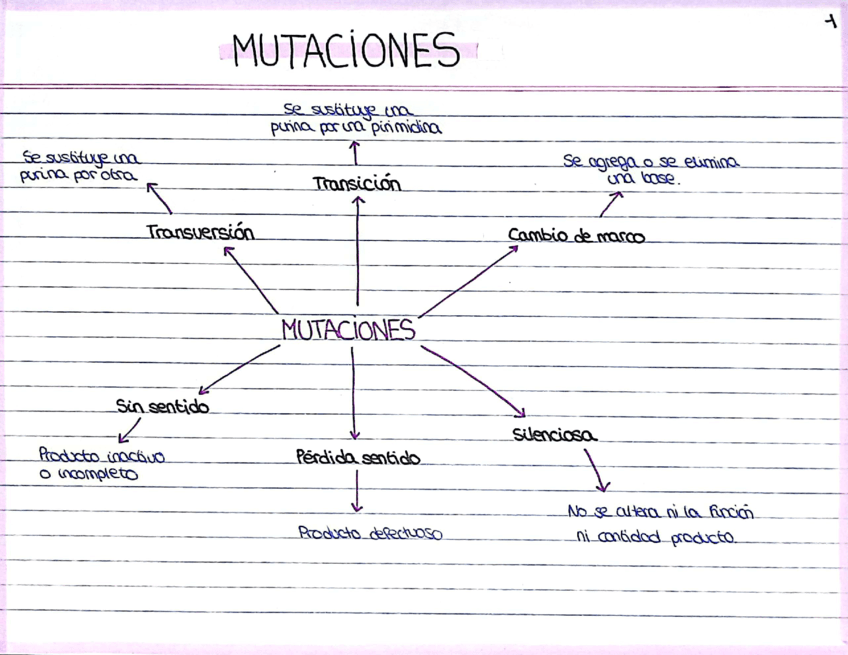 Tema-2-Toxicologia.pdf