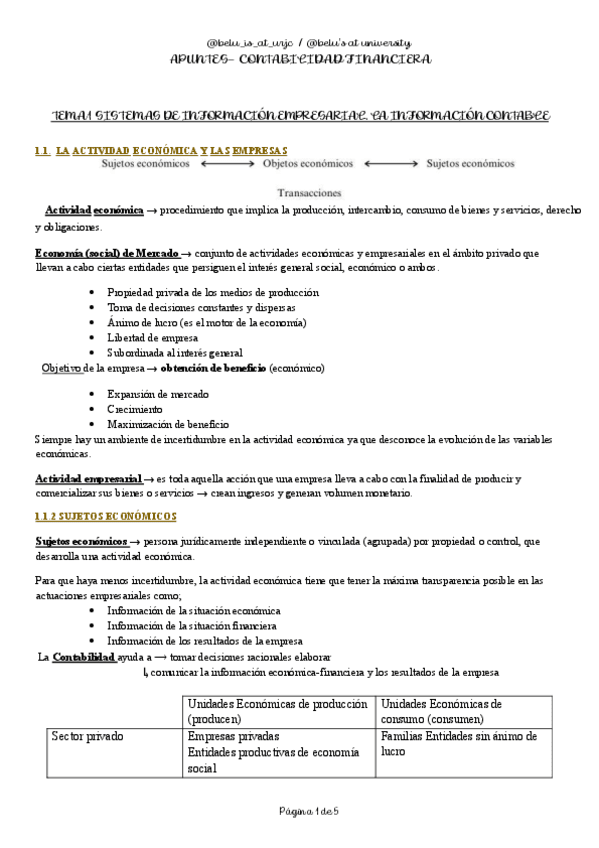 TEMA-1-CONTABILIDAD-FINANCIERA.pdf