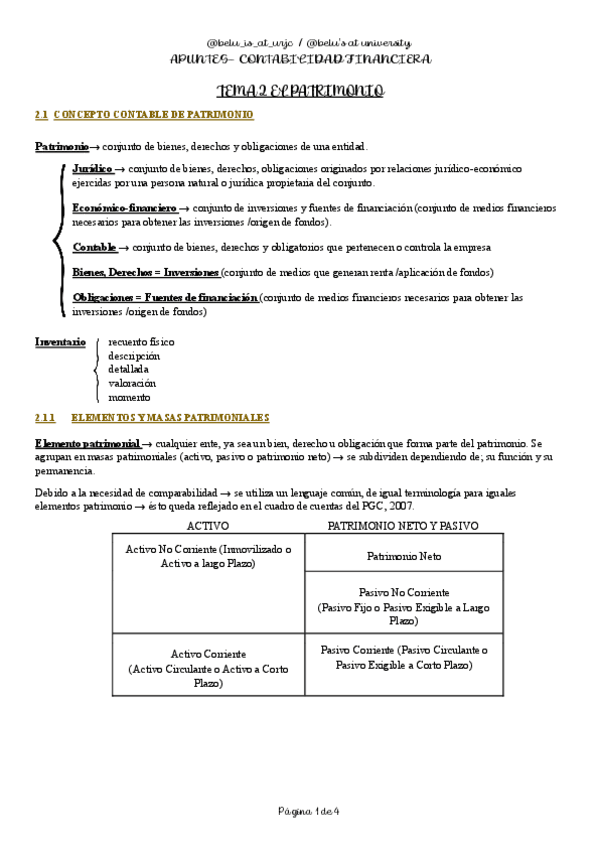 TEMA-2-CONTABILIDAD-FINANCIERA.pdf
