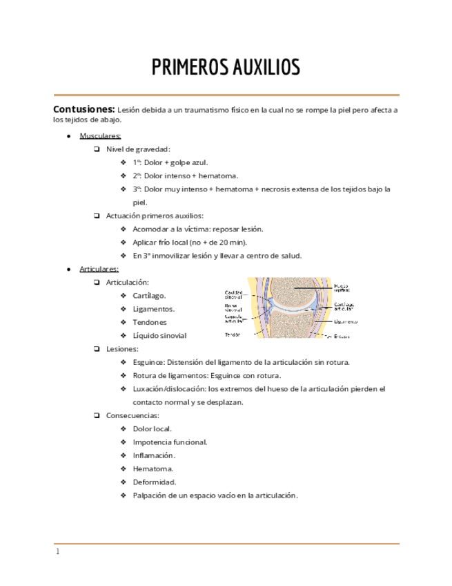 Primeros-auxilios-2.0.pdf