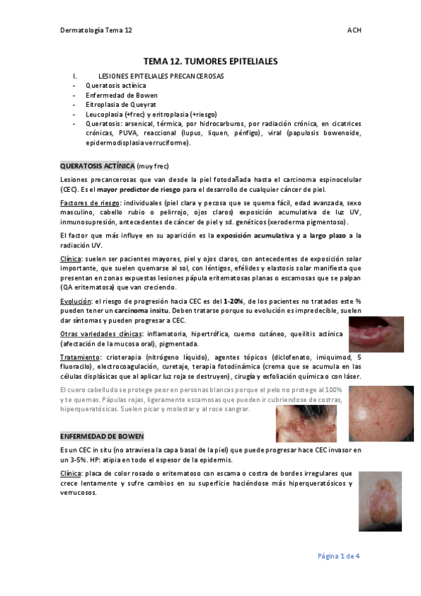 TEMA-12.-TUMORES-EPITELIALES.pdf