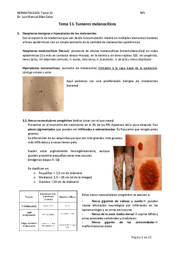 TEMA-13.-TUMORES-MELANOCITICOS.pdf