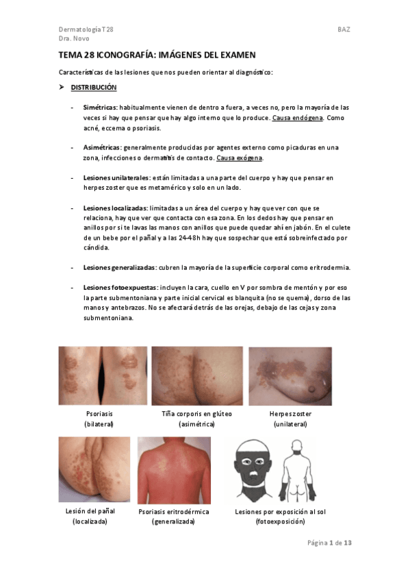 TEMA-28.-ICONOGRAFIA.pdf