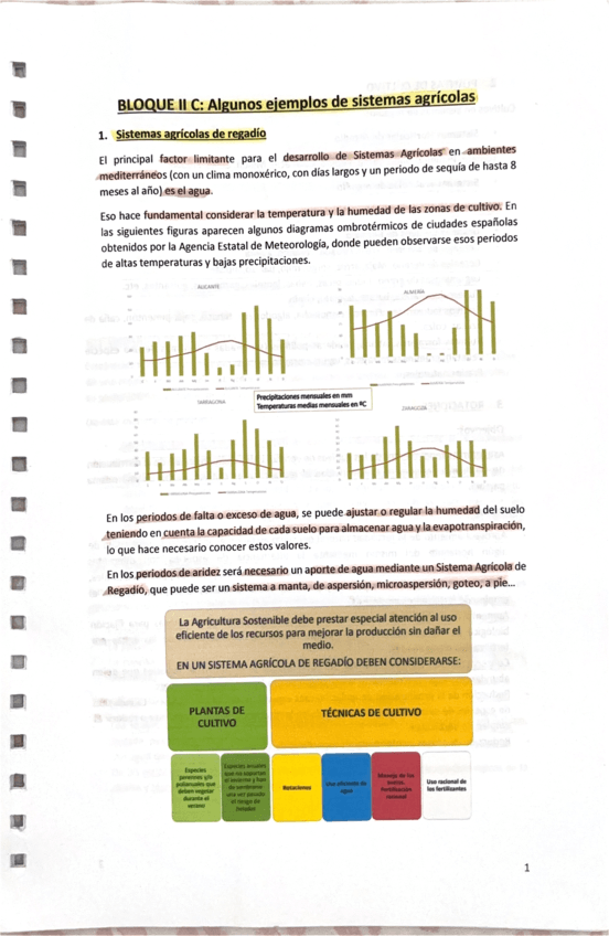 Sistemas-cultivobloque2.3.pdf