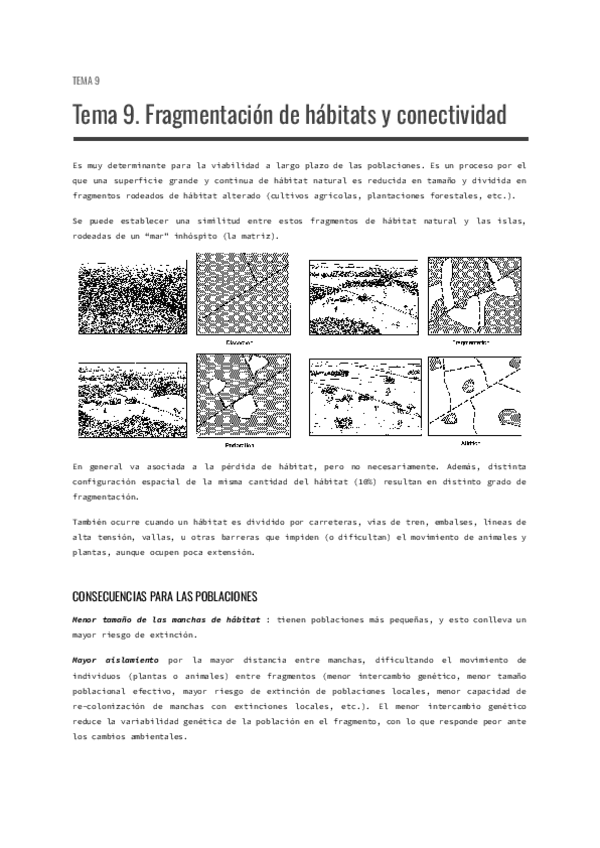Tema-9.-Fragmentacion-de-habitats-y-conectividad.pdf