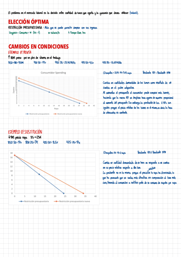 4.-Trabajo.-Problema-Eleccion.pdf