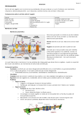Cèl·lula eucariota Tema V- VI, VII, VIII.pdf