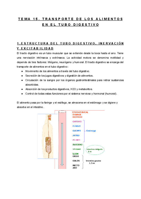 Tema 15. Motilidad. Transporte de los alimentos en el tubo digestivo.pdf