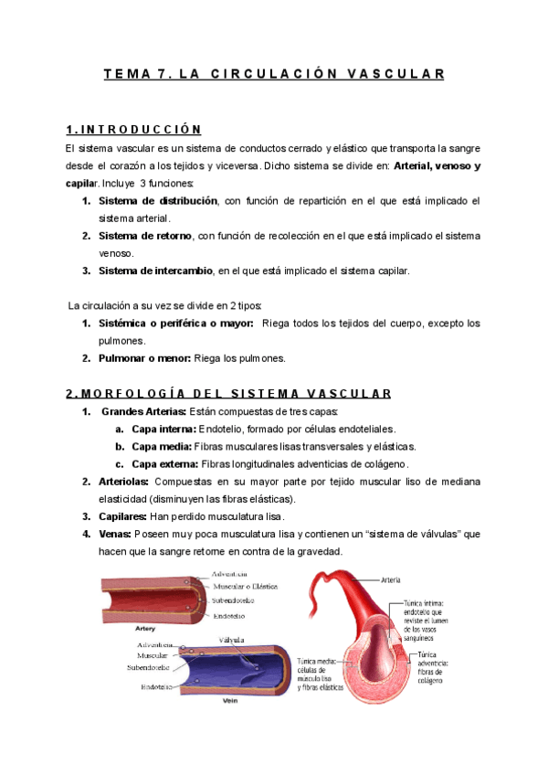 Tema 7. Circulación arterial y venosa.pdf