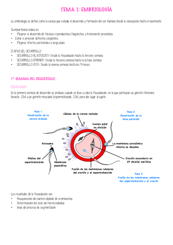 Apuntes-Completos-P1.pdf