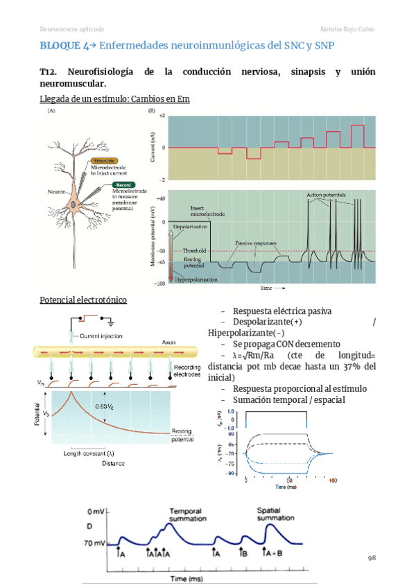 Apuntes-Neuro-Parte-2.pdf