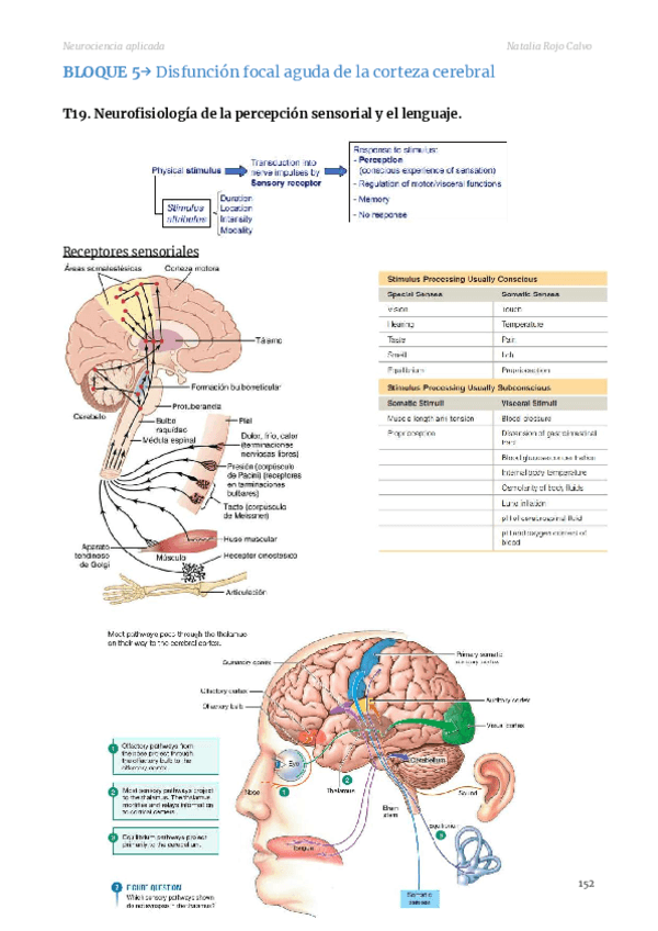 Apuntes-Neuro-Parte-3.pdf