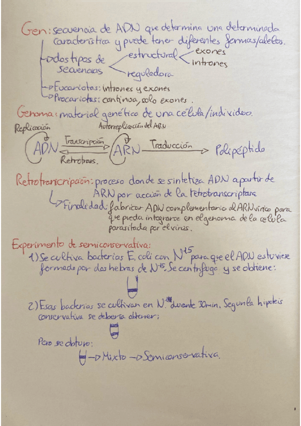Temas-13-14-y-15-Expresion-y-regulacion-de-la-info-genetica-Mutaciones-y-Biotecnologia.pdf