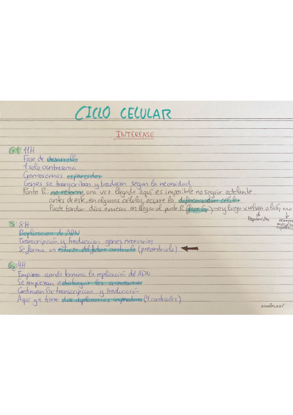 Tema-9-Ciclo-celular.pdf