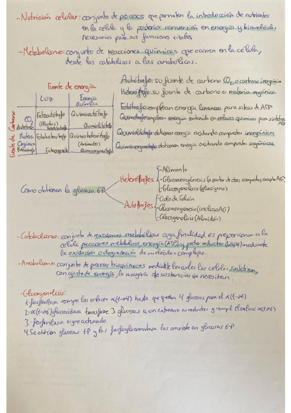 Temas-6-7-y-8-Generalidades-Catabolismo-y-Anabolismo.pdf