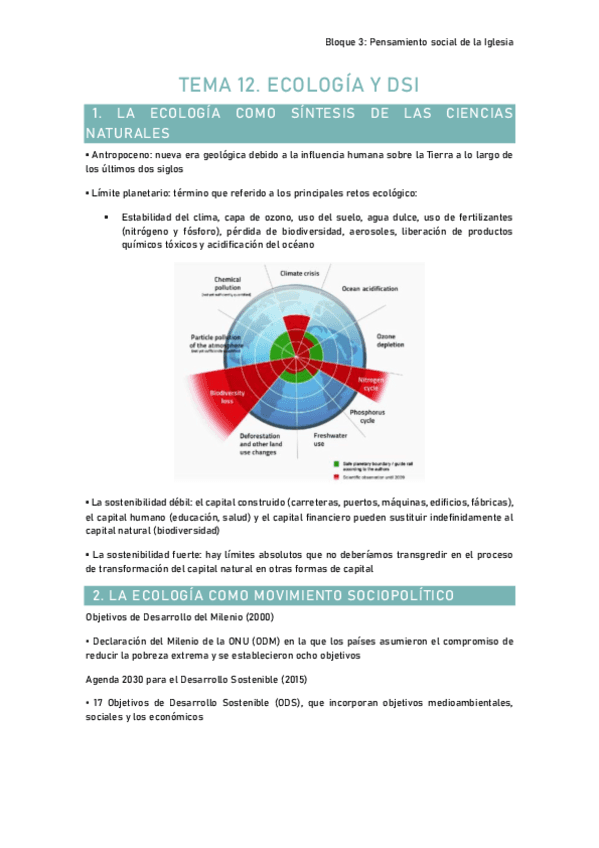 Tema-12.-Ecologia-y-DSI.pdf