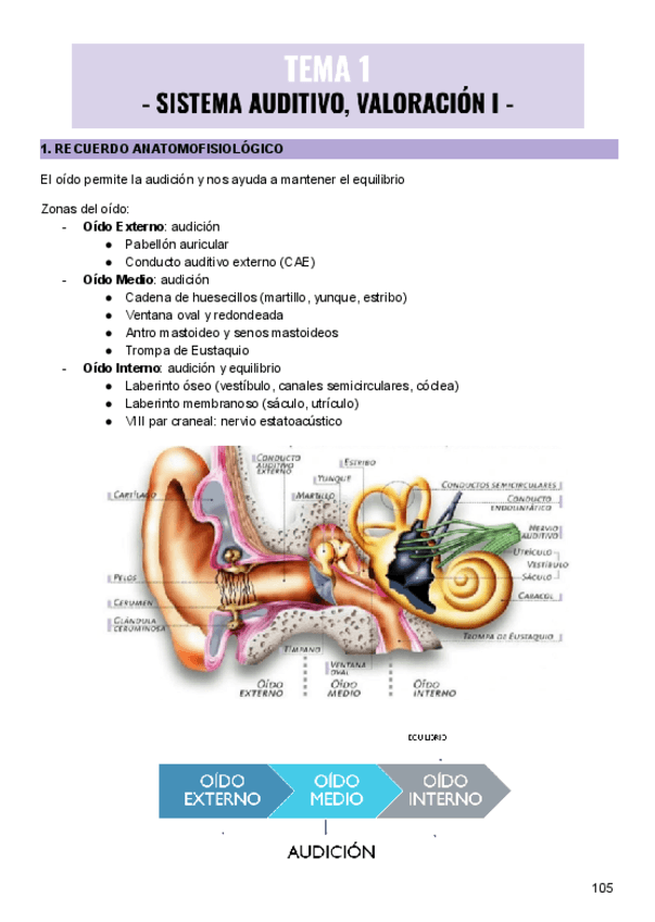 SISTEMA-AUDITIVO.pdf