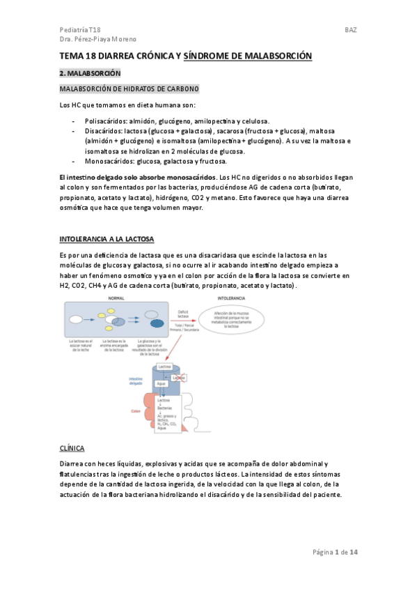 TEMA-18.-SINDROME-MALABSORCION.pdf