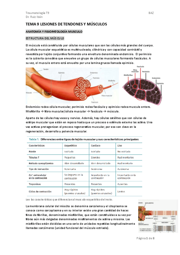 TEMA-9.-TRAUMA.pdf