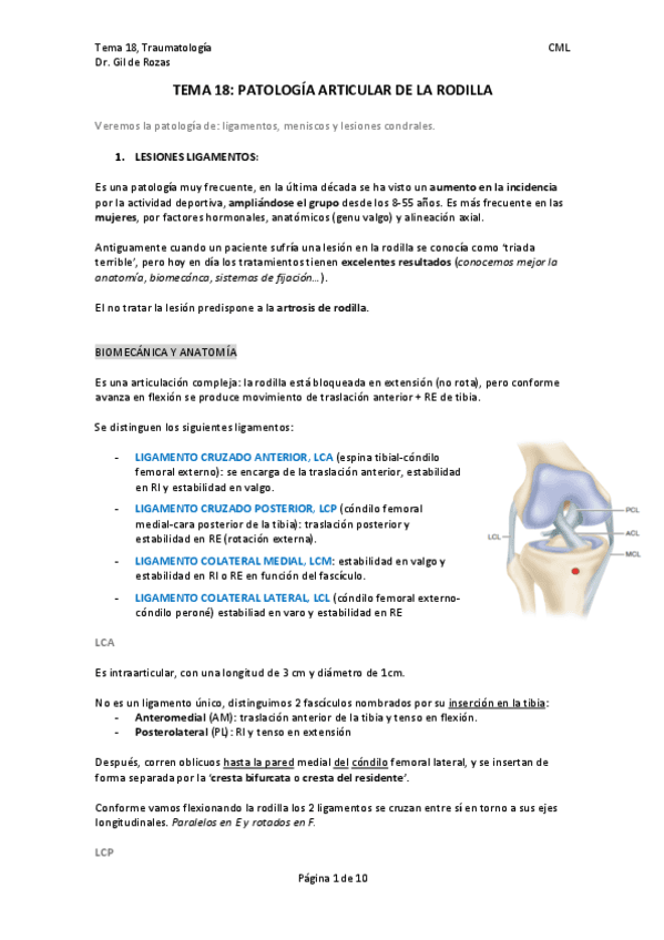 TEMA-18.-TRAUMA.pdf