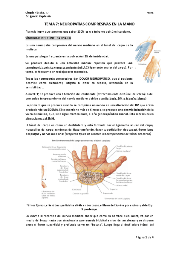 TEMA-7.-PLASTICA.pdf