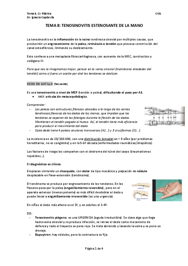 TEMA-8.-PLASTICA.pdf