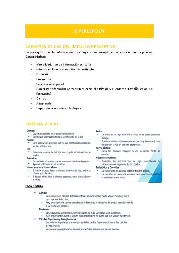 T3-psico.-Percepcion-ACABADO.pdf