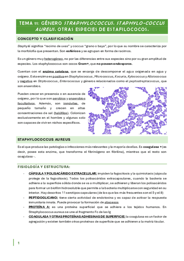 Tema-11.pdf