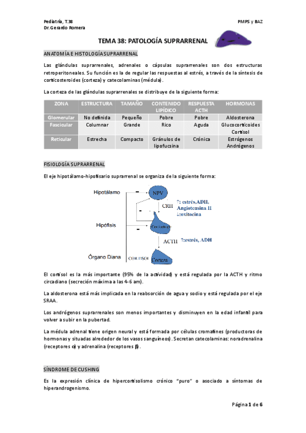 TEMA-38-pedia.pdf