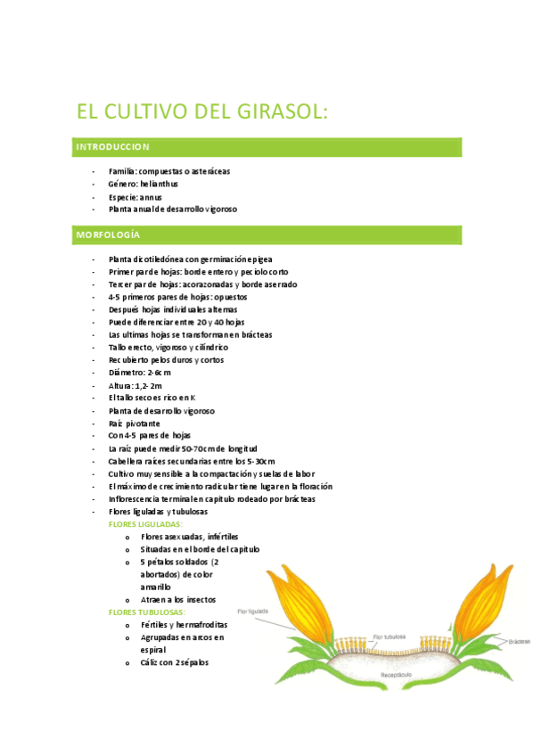 EL-CULTIVO-DEL-GIRASOL.pdf